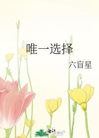 唯一选择的成语