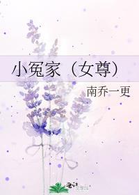 小冤家(女尊)