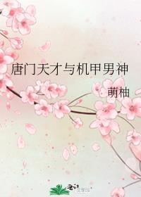 唐门天才与机甲男神 晋江