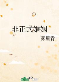 非正式婚姻生活啥意思