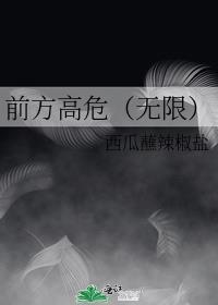 前方高危无限西瓜蘸辣椒盐