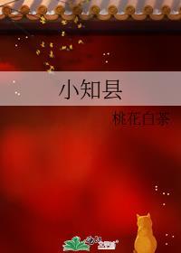 小知县全本txt百度
