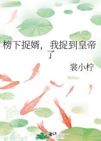 榜下捉婿捉了个状元的