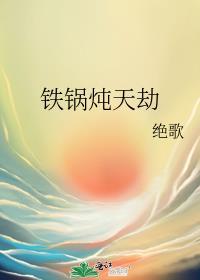 铁铁锅炖