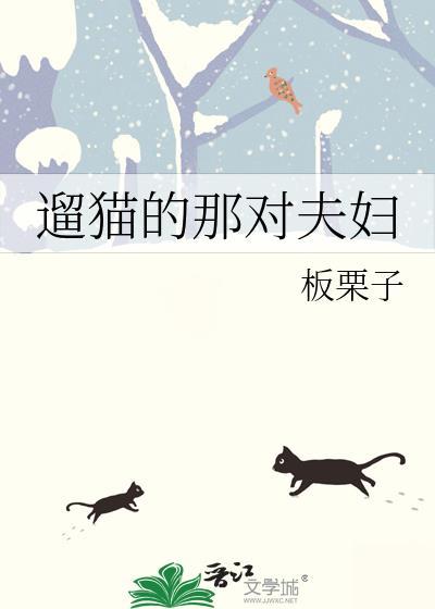 遛猫的人网络语怎么说
