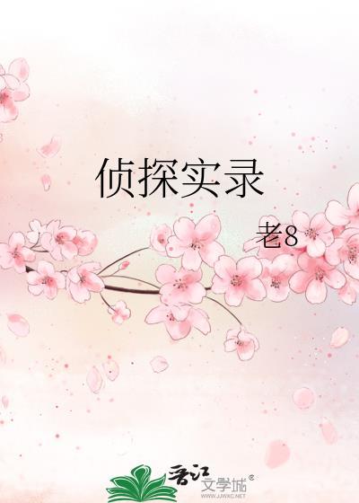 侦探实录电视剧