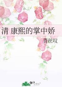 清穿康熙的娇宠密妃