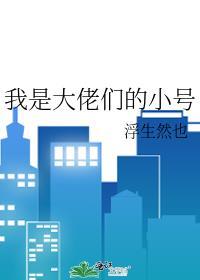 我是大佬前女友晋江文学城