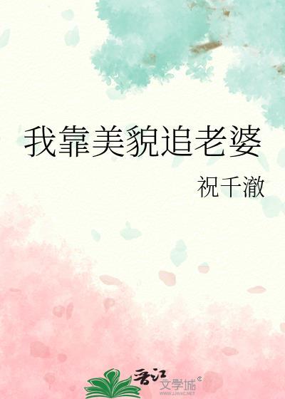 我靠美貌追老婆全文免费阅读