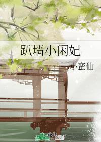 趴墙小闲妃最后生孩子了吗