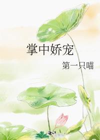 掌中娇宠一寸方舟txt