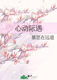 心动际遇txt
