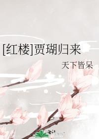 红楼贾瑚归来
