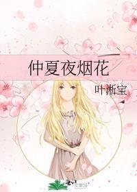 仲夏夜烟花叶浙宝