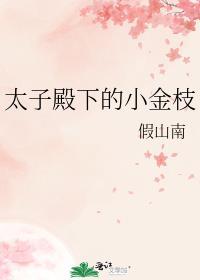 太子殿下的小宝贝