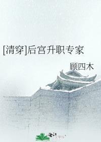 清穿后宫升职专家 顾四木