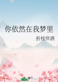 你依然在我梦里笔趣阁