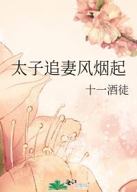 太子追妻风烟起十一酒徒番外