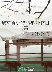 炮灰真少爷科举升官日常晋江