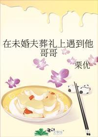 在未婚夫葬礼遇见他哥哥