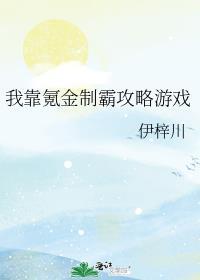 我靠氪金制霸攻略游戏格格党