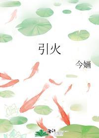 引火今婳 TXT