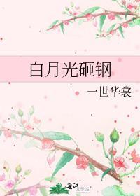 白月光砸钢番外TXT全本阅读