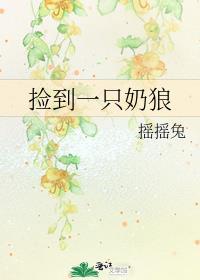 捡到一只奶狼讲什么故事