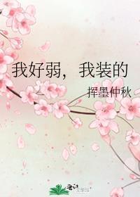 我装的百度