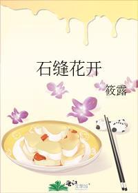 石缝花开番外石头千金