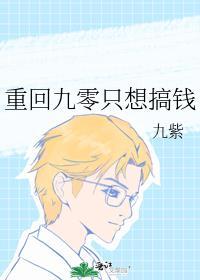 重生九零只想搞钱九紫