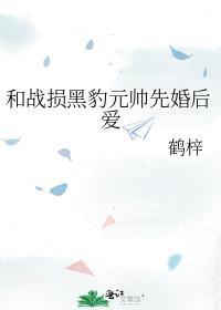 和战损黑豹元帅TXT