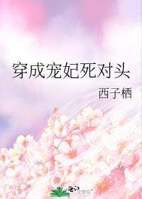 穿越成宠妃的