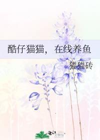 酷猫猫