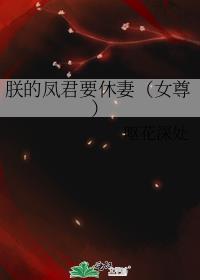 朕的将军是凤君(女尊)42章
