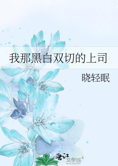 我那黑白双切的上司是谁免费阅读