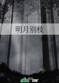 明月别枝百度