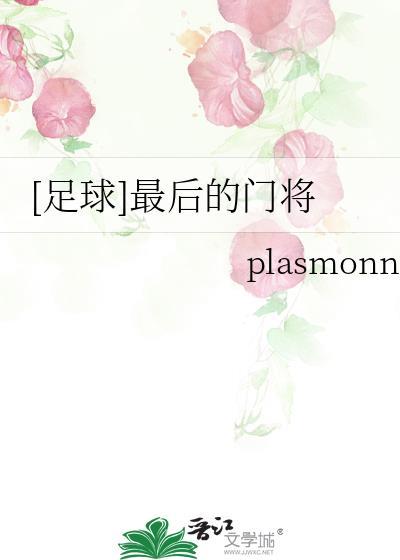 足球最后的门将txt百度