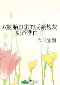 帝师攻略动漫