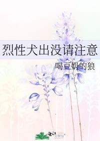 烈犬出没请注意在线阅读