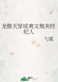 龙傲天穿成爽文炮灰经纪人作者其他作品