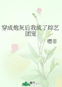 穿成炮灰后我成了综艺团宠作者噤非状态 完本