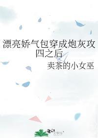 漂亮娇气包穿成炮灰攻四之后百度