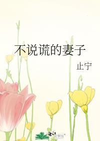 不说谎的妻子by止宁简介
