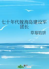 七十年代嫁海岛建设军团长笔趣阁