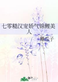 重生七零嫁糙汉子