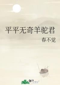 平平无奇羊驼君TXT