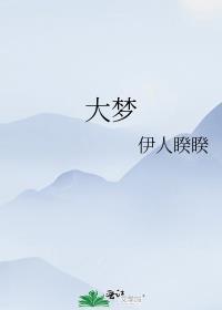 大梦国旅冲进新疆旅行社前三