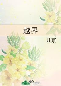 越界by几京讲了什么