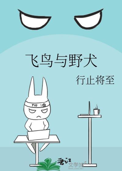 飞鸟与野犬百度